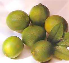 Зеленые лимоны (lime) – мелкие зеленые сестрички лимона. Они содержат большое количество сока, поэтому часто используются для приготовления напитков. В овощных и фруктовых отделах магазинов их часто неправильно называют лимонами.